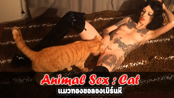 หนังโป๊มาคับ.com แมวเย็ดคน เอาหี เลียหี เย็ดหี เบิร์นหี