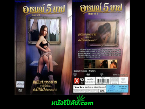 หนังโป๊มาคับ.com ไทยเย็ดกัน โก่งหี เย็ดไทย เย็ดในโรงแรม เย็ดสาวกลางคืน