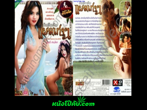 หนังโป๊มาคับ.com ใจแตก เอาหี เสียตัว เย็ดไทย เย็ดหีไทย