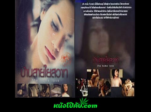 หนังโป๊มาคับ.com ไทยเย็ดกัน เย็ดไว เย็ดหี เย็ดสาวสวย เย็ดสาว