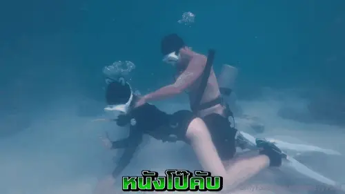 หนังโป๊มาคับ.com โม๊คควย เสียวหี เย็ดไม่ยั้ง เย็ดสด เย็ดท่าหมา